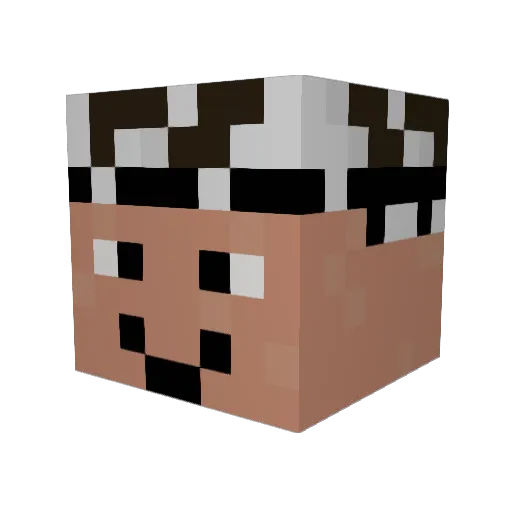 St0zko_MEN Minecraft avatar head, 3D render