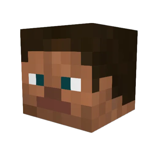 St111n Minecraft avatar head, 3D render