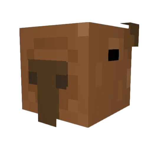 St1__ Minecraft avatar head, 3D render