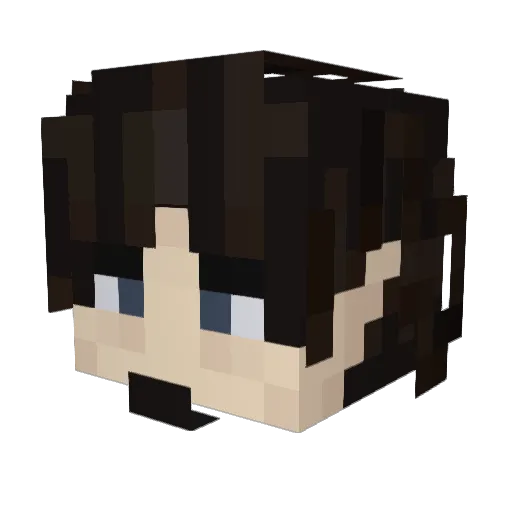 St1ch3ss Minecraft avatar head, 3D render