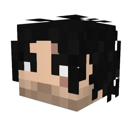 St1nkyAlgorithm Minecraft avatar head, 3D render