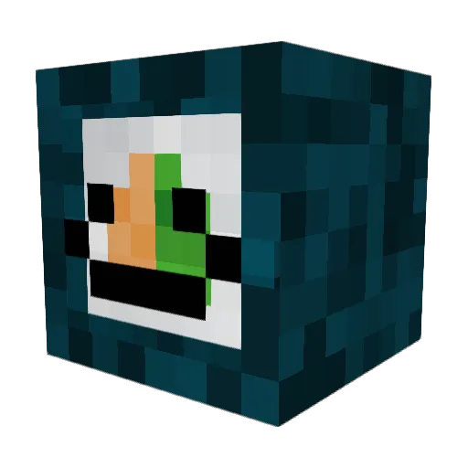 St1tcher Minecraft avatar head, 3D render