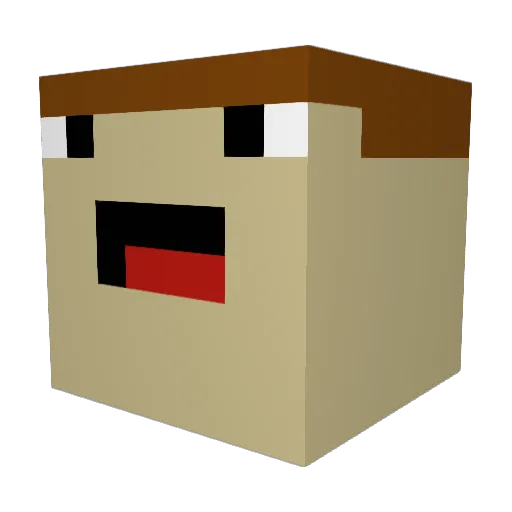 St3f4nMCQUAD Minecraft avatar head, 3D render