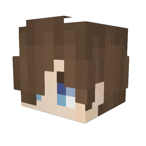 St3r_Fry Minecraft avatar head, 3D render