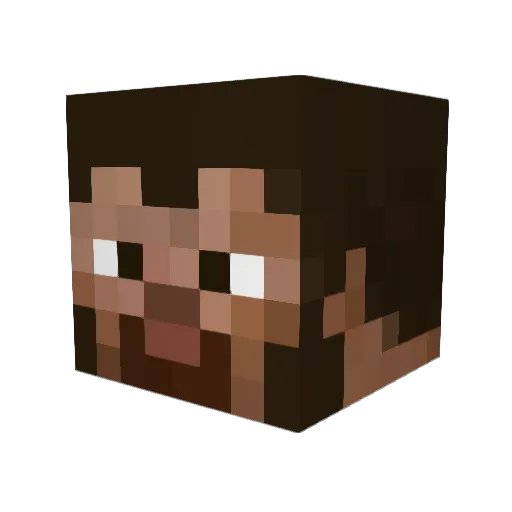 St3vetheGurl Minecraft avatar head, 3D render
