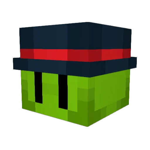 St3wp3as Minecraft avatar head, 3D render