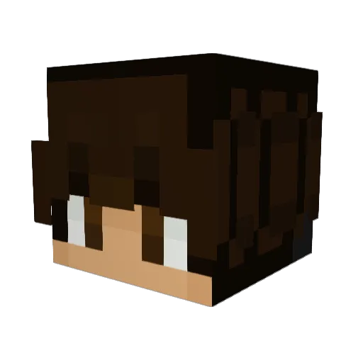 St4nl_ey Minecraft avatar head, 3D render