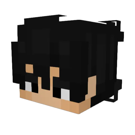 St4nnie Minecraft avatar head, 3D render