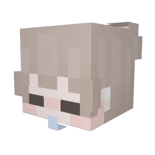 St4rr_b0y Minecraft avatar head, 3D render