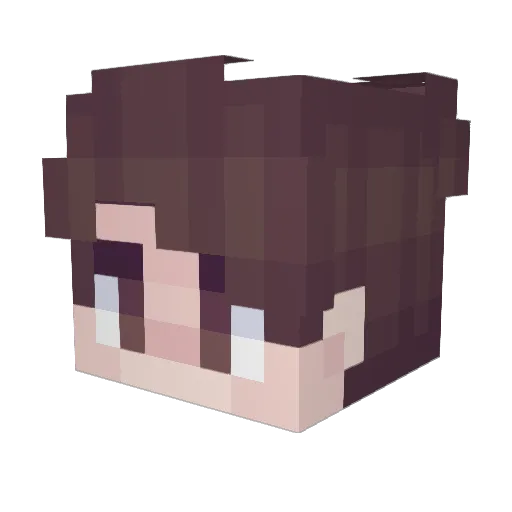 St8fano Minecraft avatar head, 3D render