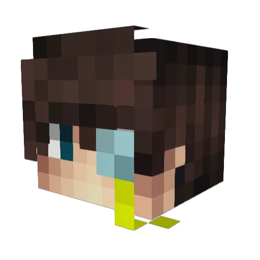 St8kcrafter Minecraft avatar head, 3D render