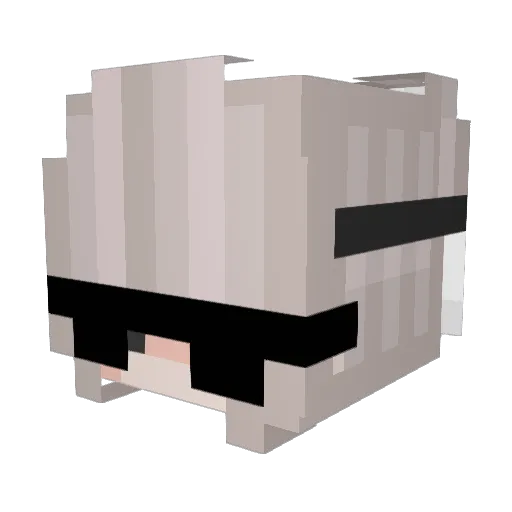 StButterflylady Minecraft avatar head, 3D render