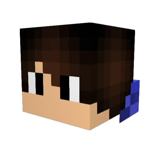 StN1ck Minecraft avatar head, 3D render