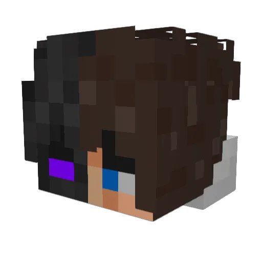 StOrmF1 Minecraft avatar head, 3D render