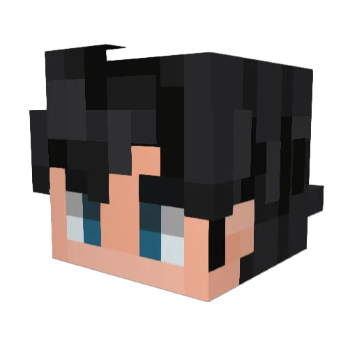 StRaNgErBaSiL Minecraft avatar head, 3D render