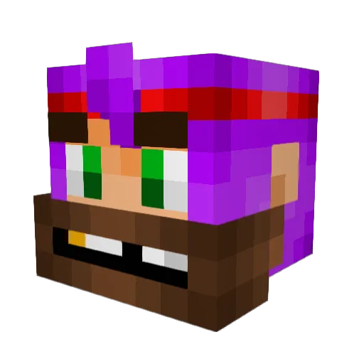 StRaNgErMaN123 Minecraft avatar head, 3D render