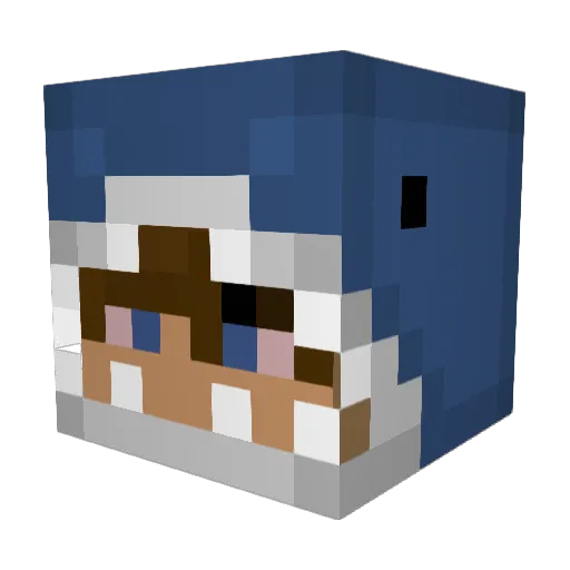 StShark_ Minecraft avatar head, 3D render