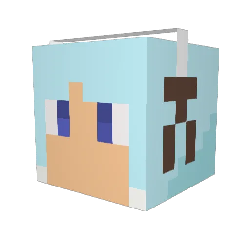 St_Emil Minecraft avatar head, 3D render