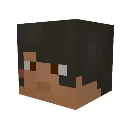 St_VincentStan Minecraft avatar head, 3D render