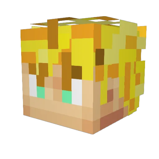 St_Vinnies Minecraft avatar head, 3D render