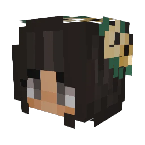 St_lla Minecraft avatar head, 3D render