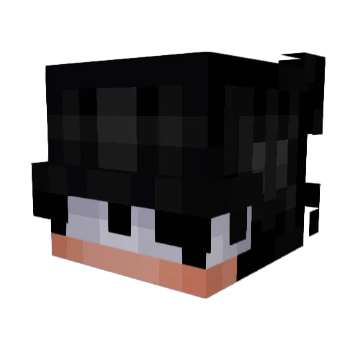 StaNN427 Minecraft avatar head, 3D render