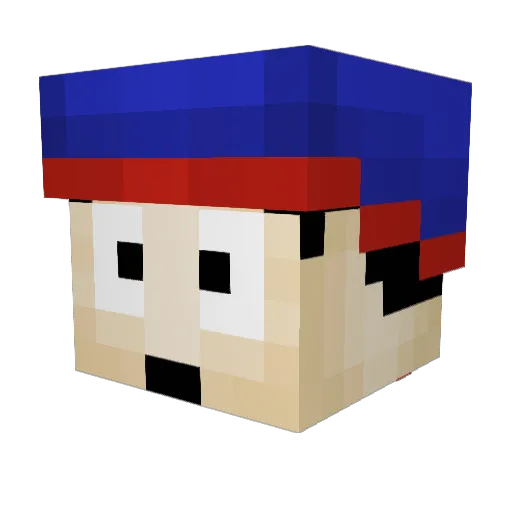 StaNmArash Minecraft avatar head, 3D render