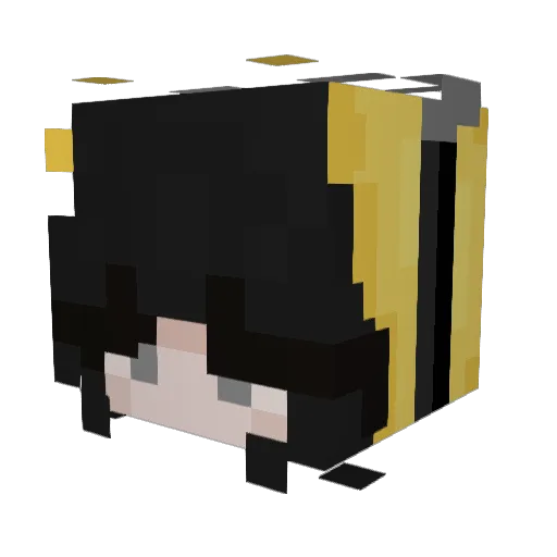 StaRosssa Minecraft avatar head, 3D render