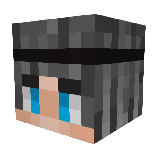 Staartje Minecraft avatar head, 3D render
