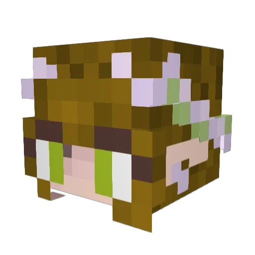 Staarunavailable Minecraft avatar head, 3D render