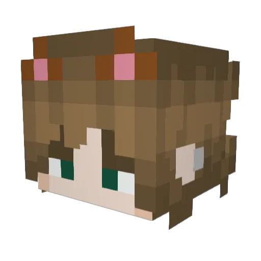 StabTheMelon2 Minecraft avatar head, 3D render