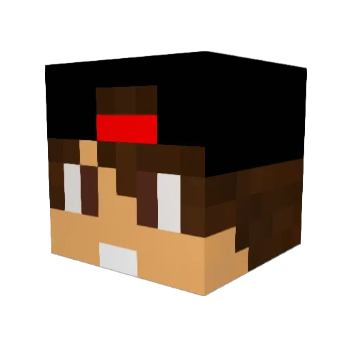 Stabber99 Minecraft avatar head, 3D render