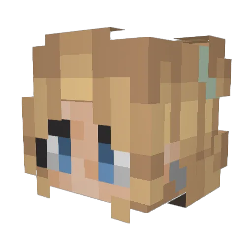 Stachehe_ Minecraft avatar head, 3D render