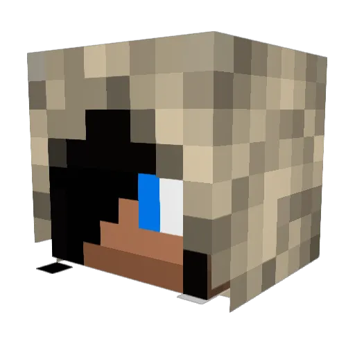 Stachelmus Minecraft avatar head, 3D render