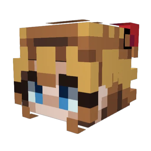 Stachi08 Minecraft avatar head, 3D render