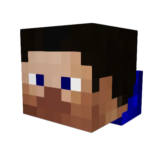 Stachu223 Minecraft avatar head, 3D render