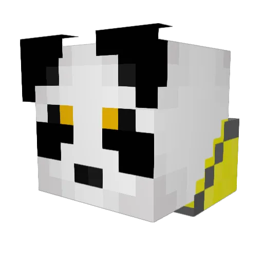 Stachu2511 Minecraft avatar head, 3D render