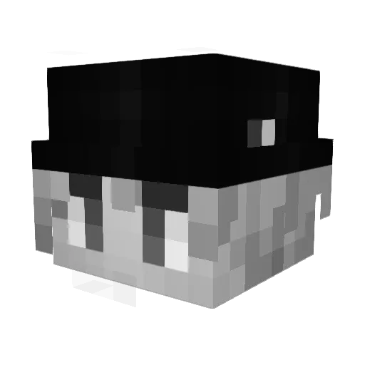 StachuOfficial Minecraft avatar head, 3D render