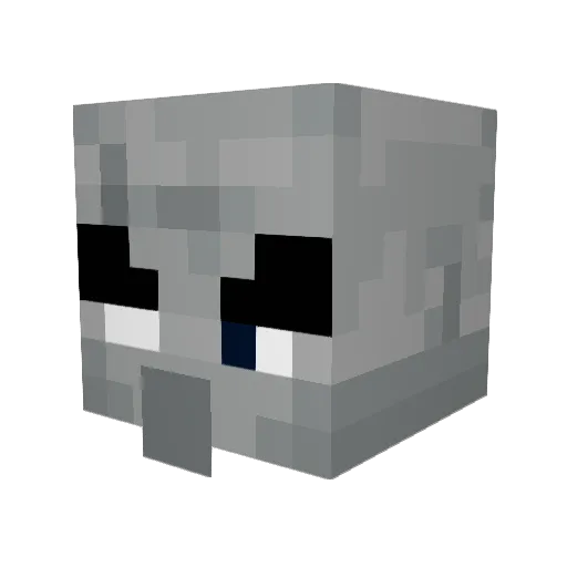Stachu_illager Minecraft avatar head, 3D render