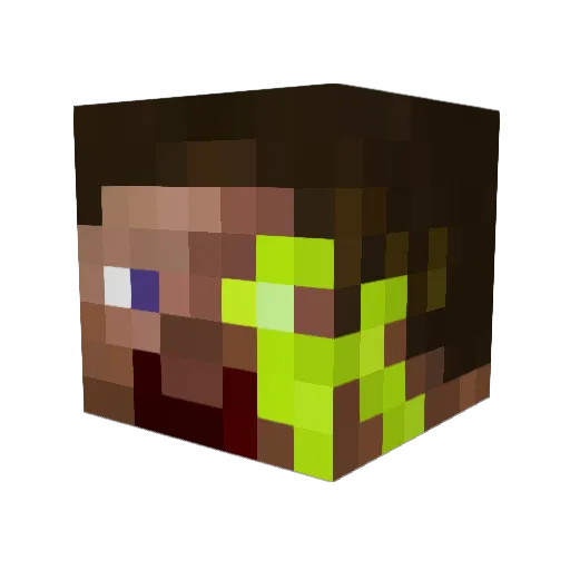 Stachulski55 Minecraft avatar head, 3D render