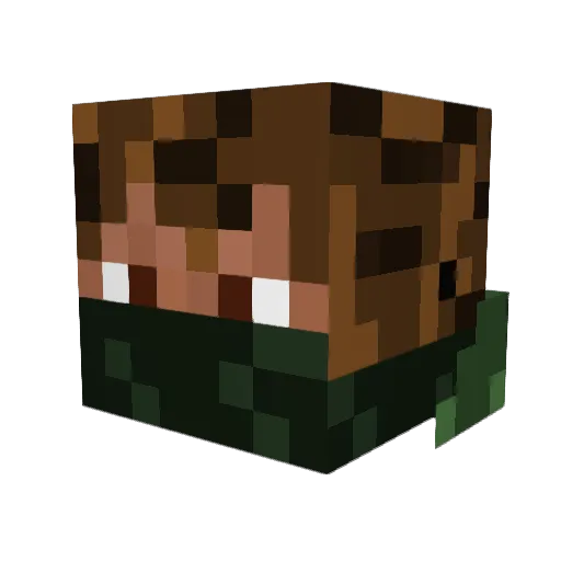 Stackhouse1996 Minecraft avatar head, 3D render