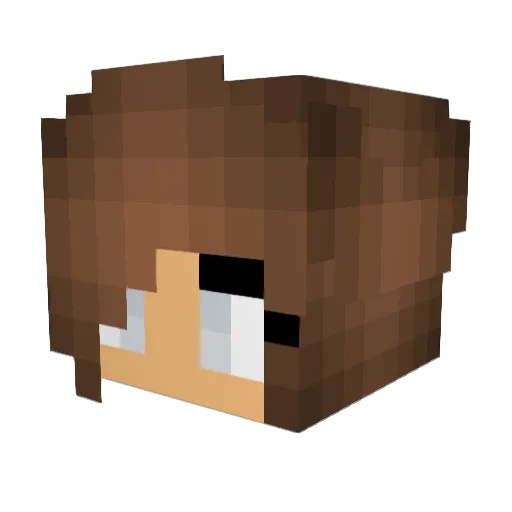 StacknSmash11 Minecraft avatar head, 3D render