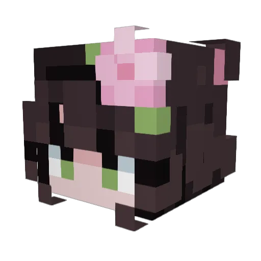 Stacyejaye Minecraft avatar head, 3D render
