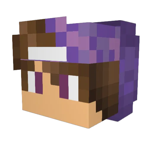 Stacyminks1831 Minecraft avatar head, 3D render
