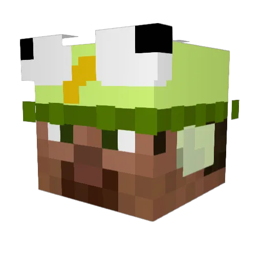 Stadie Minecraft avatar head, 3D render