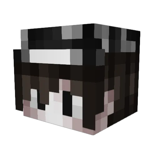 Staf1 Minecraft avatar head, 3D render