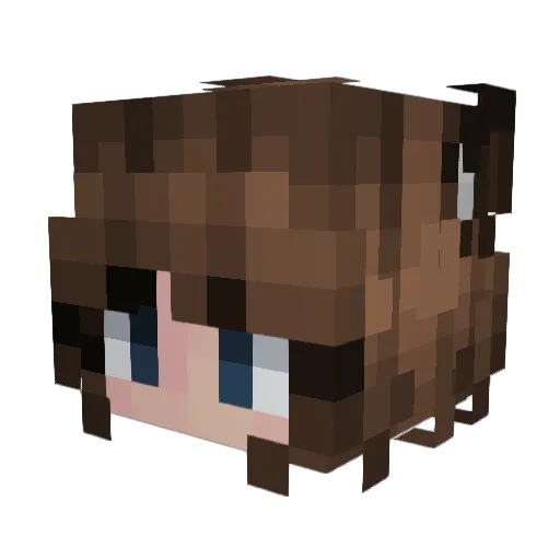Stafle Minecraft avatar head, 3D render