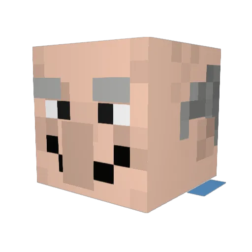 StahpDolanNaow Minecraft avatar head, 3D render