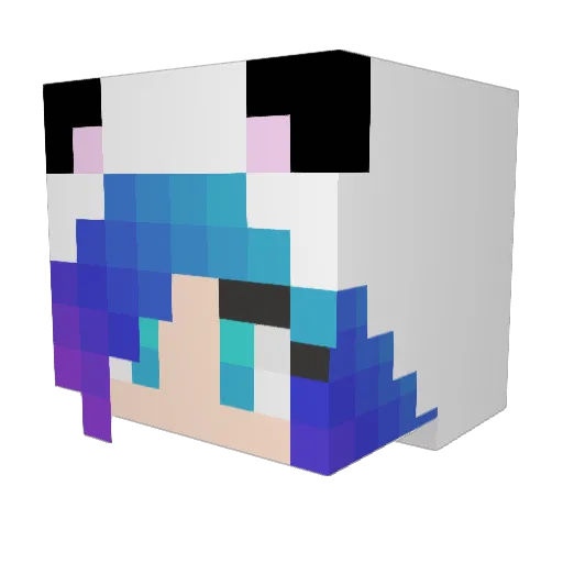 Stahp_Tubbs Minecraft avatar head, 3D render