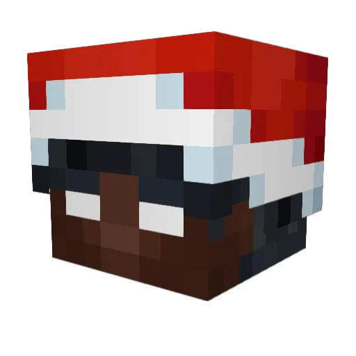 Stain_Wolf Minecraft avatar head, 3D render